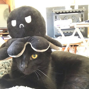 Meet your Posher, Kate